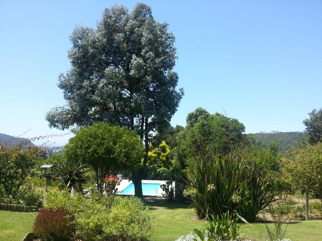 Piesang Valley Lodge Plettenberg Bay Rum bild